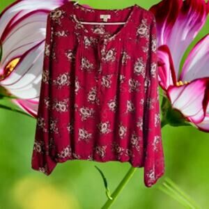 C XL long sleeve sheer pink floral woman's casual polyester blouse.